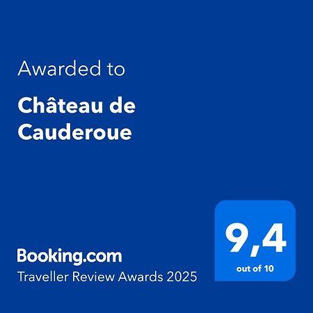 Chateau De Cauderoue 네라끄 외부 사진