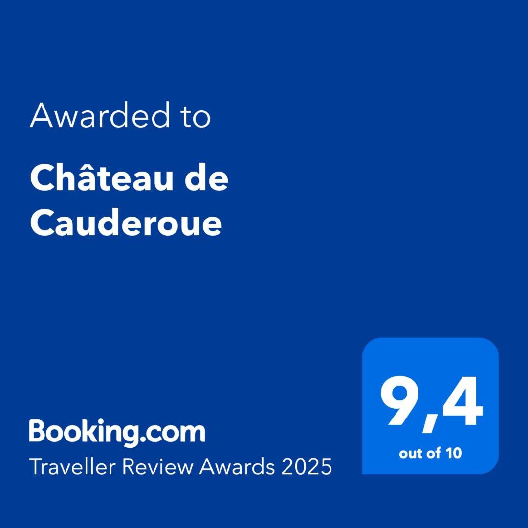 Chateau De Cauderoue 네라끄 외부 사진